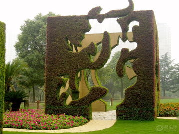 比亞迪s6社區(qū)圖片集錦 易車(chē)