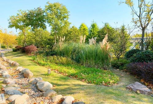 全市第一 有 顏值 有 內(nèi)涵