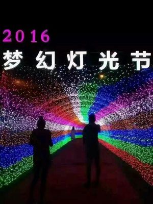 光影賦能，點亮景區(qū)新視界 探訪大型燈光藝術產品的制作、租售與景觀藝術融合